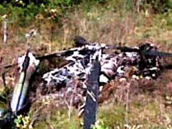 Helicóptero del Ejército accidentado en el Meta habría caído en campo minado