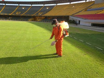 Estadio el Campín está en perfectas condiciones y listo para próximo encuentro deportivo