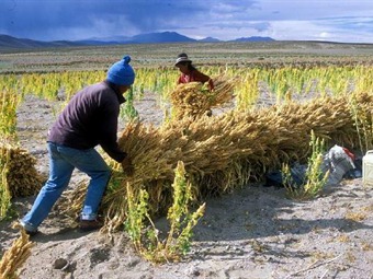 Bolivia es uno de los países que más sufre por el cambio climático, según ONU