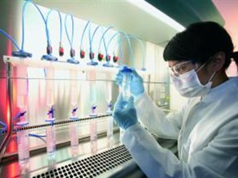 Científicos japoneses desarrollan un hígado a partir de celulas madre
