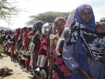 Más de 800 millones de personas pasan hambre en el mundo