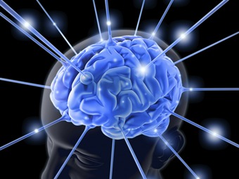 Científicos comprueban que una dieta baja en calorías rejuvenece el cerebro