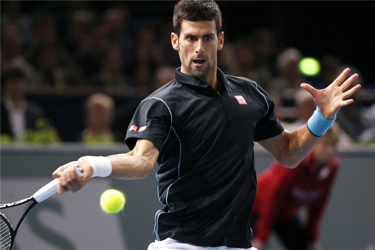 Novak Djokovic venció a David Ferrer y se coronó en París-Bercy