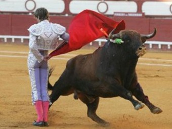 Convocan protesta porque las corridas de toros vuelvan al Santamaría