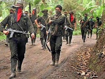 ELN respalda acuerdo sobre participación política entre Gobierno y Farc