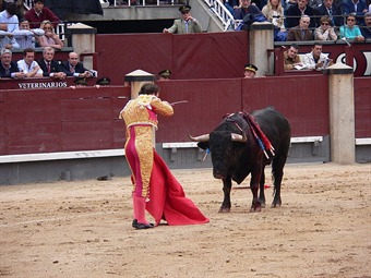 Recusan a ponente de tutela sobre corridas de toros