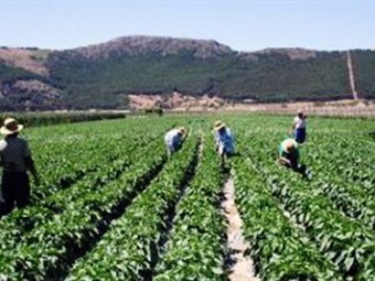 El avalúo catastral de predios agropecuarios no aumentará en Boyacá