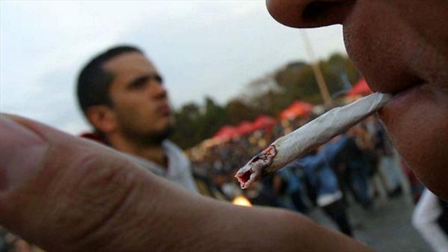 ​Trabas del uribismo a cannabis medicinal son injustificadas: Galán