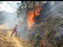 En los primeros días del año ya se ha presentado 50 incendios forestales