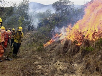 Cerca de 300 incendios se han registrado durante temporada seca en el país