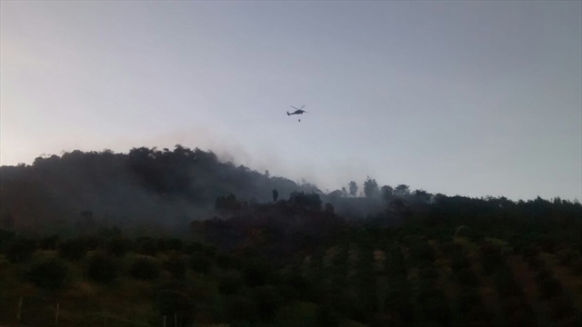 Declaran emergencia ambiental por incendios forestales en Medellín