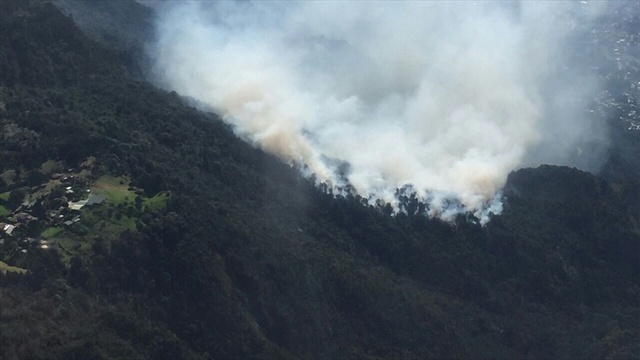 Alertas en 101 municipios de Antioquia por calor e incendios forestales