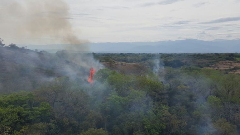 Incendios forestales siguen azotando al Tolima
