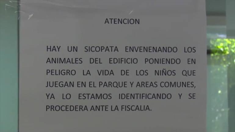 En Cartagena denuncian envenenamiento de gatos en Centro Histórico