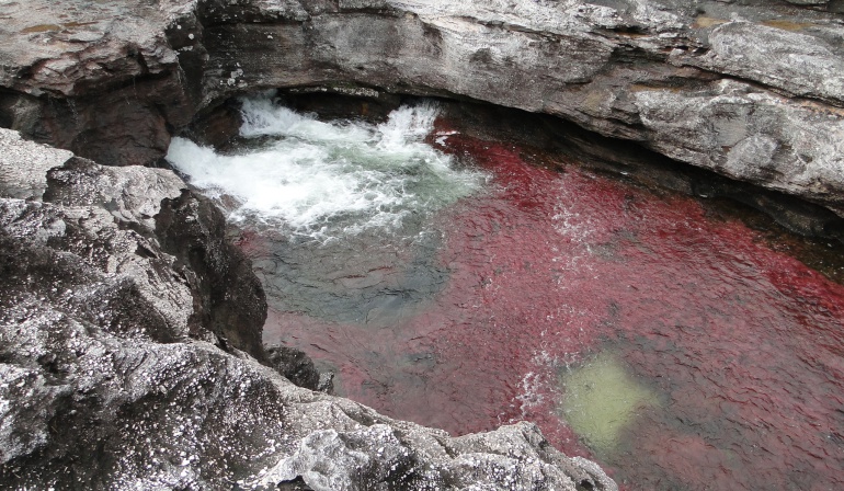 Caño Cristales seguirá abierto al público