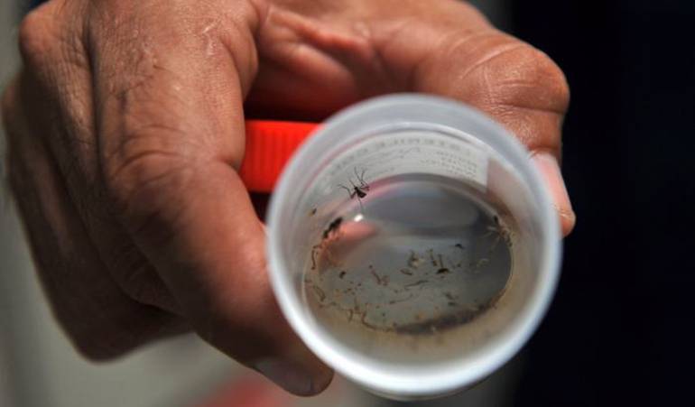 El Zika llegó para quedarse: Minsalud