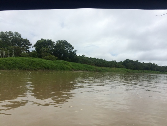 La ambición por el oro amenaza la salud del Orinoco La ambición por el oro amenaza la salud del Orinoco