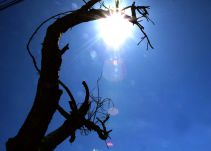 Incendios forestales y heladas amenazan al 73% de los municipios de Boyacá