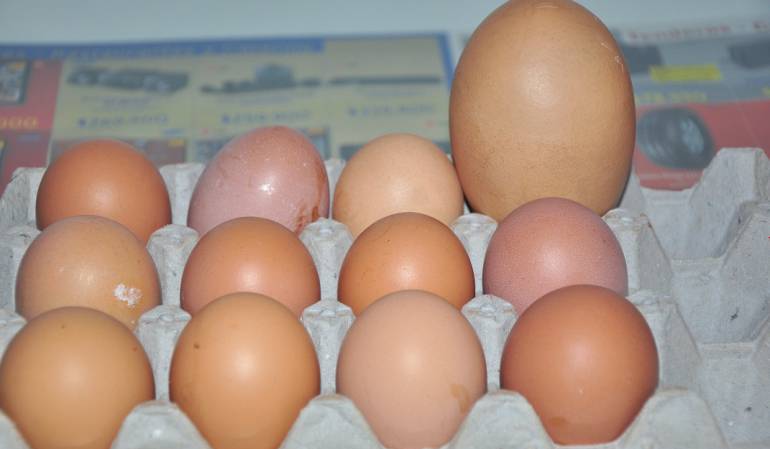 Precios del huevo y el pollo han subido por culpa del dólar: Fenavi