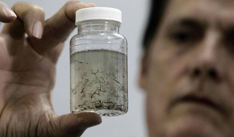 Pedir a mujeres que no queden embarazadas, no es medida de prevención contra el zika: OPS