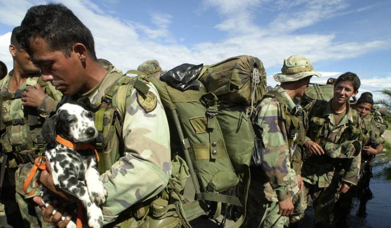 Plan Colombia, sus éxitos y fracasos
