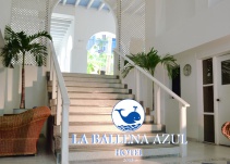 En Fotos: Hotel La Ballena Azul