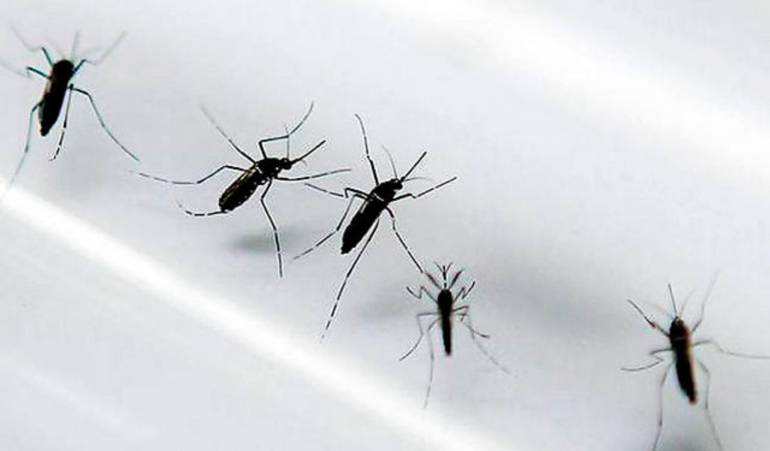 casos de Microcefalia por zika: Descartan 16 casos de Microcefalia por zika en el país