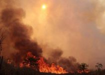 Un 70% de los incendios en el país son provocados por manos criminales: Bomberos