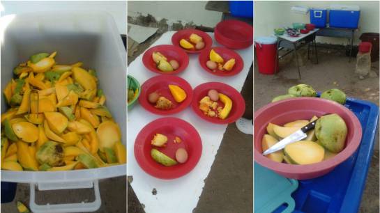 Estudiantes de Aguachica, Cesar, desayunan huevo con mango: Contraloría Estudiantes de Aguachica, Cesar, desayunan huevo con mango: Contraloría