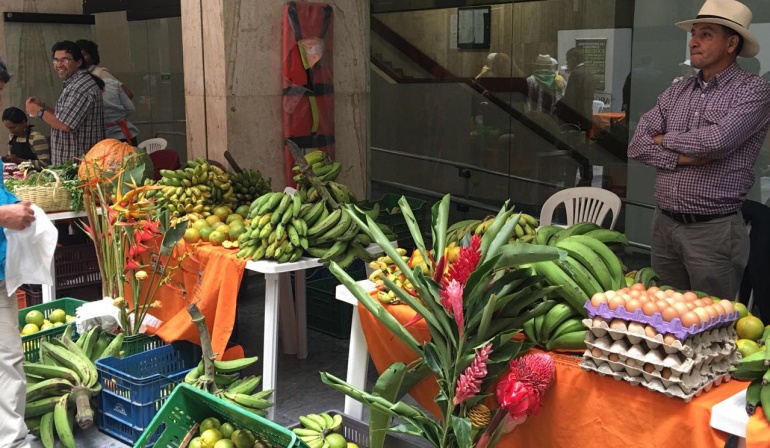 Precio de los alimentos en Colombia: Fenómeno de El Niño sigue generando alzas en precios de alimentos