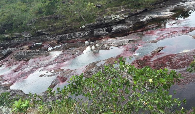 explotación petrolera Caño Cristales Meta: Denuncian licencia para explotación petrolera cerca de Caño Cristales