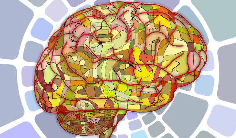 Dieta y ejercicio cerebro joven: No sólo dieta y ejercicio: qué hacer para tener un cerebro joven