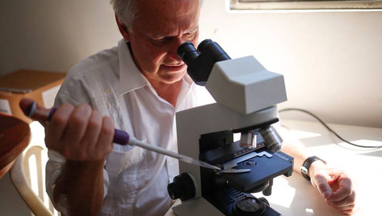 Hoy se celebra el Día Mundial contra la Malaria