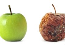 La química de tu cocina: cómo hacer que los alimentos duren más