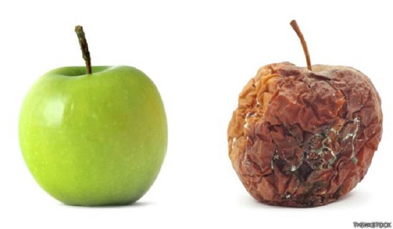 Cómo conservar las frutas: La química de tu cocina: cómo hacer que los alimentos duren más