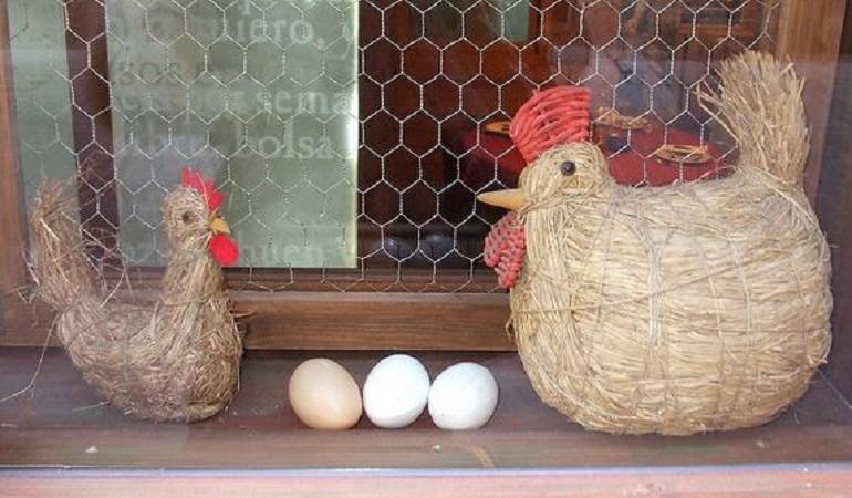 ¿Primero fue el huevo o la gallina?: ¿Surgió primero el huevo o la gallina? Científicos responden