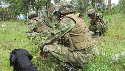 Alerta en Arauca, Boyacá y Casanare tras ruptura de diálogos con el ELN