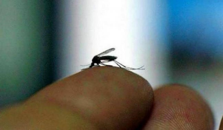 Riesgos del Zika en mujeres embarazadas: Alerta sobre riesgos del Zika en mujeres embarazadas, no aumentó el uso de anticonceptivos