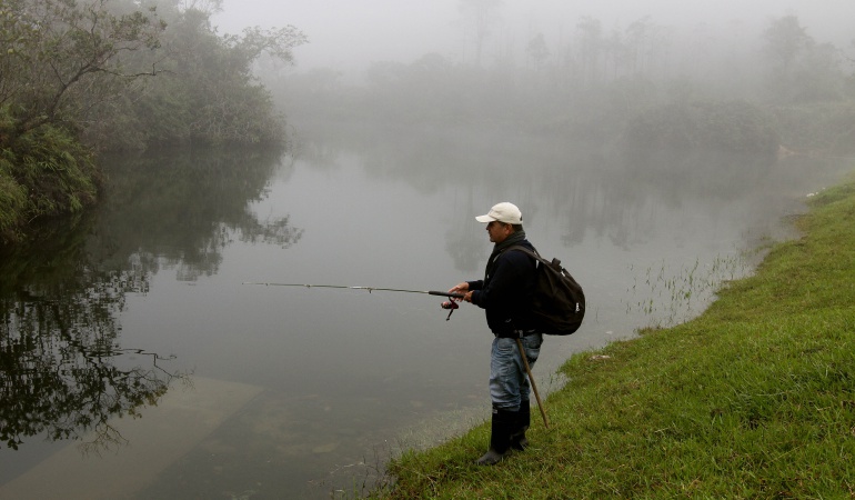 Protección de humedales: MinAmbiente tiene la obligación de hacer cumplir normas para la protección de humedales