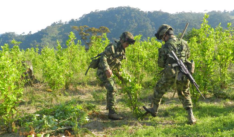 Panamá teme un aumento del narcotráfico tras el proceso de paz en Colombia