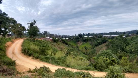 Proceso de paz: Carrizal, una vereda olvidada en Remedios, Antioquia Proceso de paz: Carrizal, una vereda olvidada en Remedios, Antioquia
