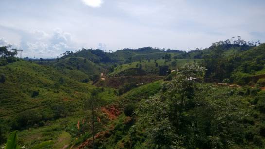 Proceso de paz: Carrizal, una vereda olvidada en Remedios, Antioquia Proceso de paz: Carrizal, una vereda olvidada en Remedios, Antioquia