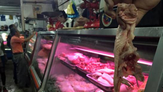 El carapacho, que es como en Venezuela se le conoce a la carcasa del pollo, dejó de botarse para los perros. Ahora se vende. El carapacho, que es como en Venezuela se le conoce a la carcasa del pollo, dejó de botarse para los perros. Ahora se vende.