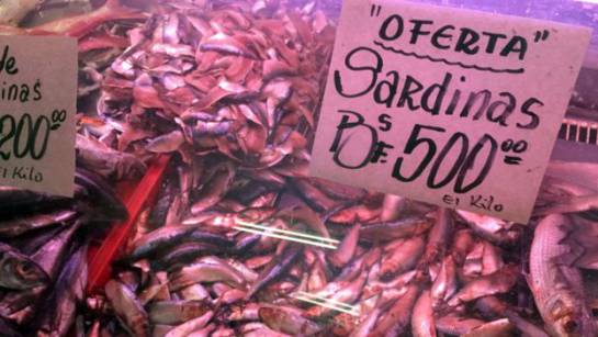 Las sardinas, que son baratas y no tienen reputación de finas en Venezuela, han tenido un pequeño auge por la crisis. Las sardinas, que son baratas y no tienen reputación de finas en Venezuela, han tenido un pequeño auge por la crisis.