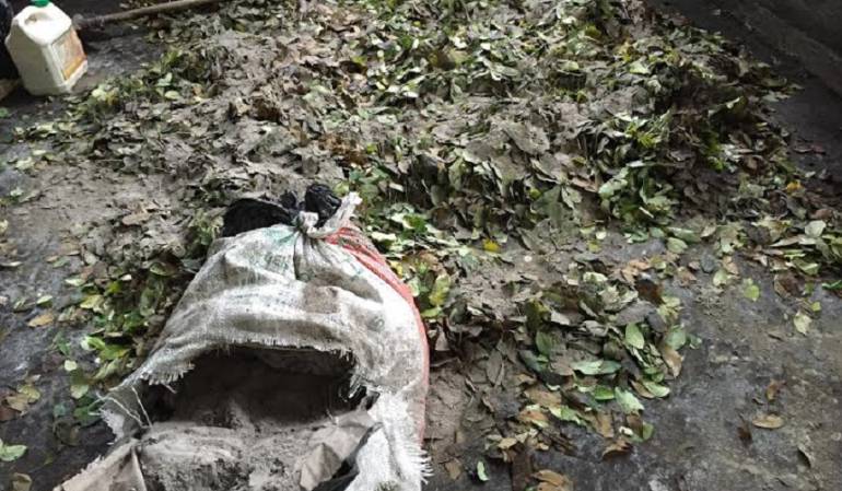 Químicos para producción Marihuana: Los ríos Guaviare y Vaupés, a pruebas científicas para revisar efectos de la coca