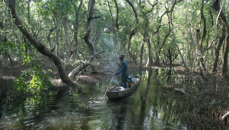 Calamidad Pública: Ministro de Ambiente pide declarar calamidad pública en la Ciénaga Grande de Santa Marta