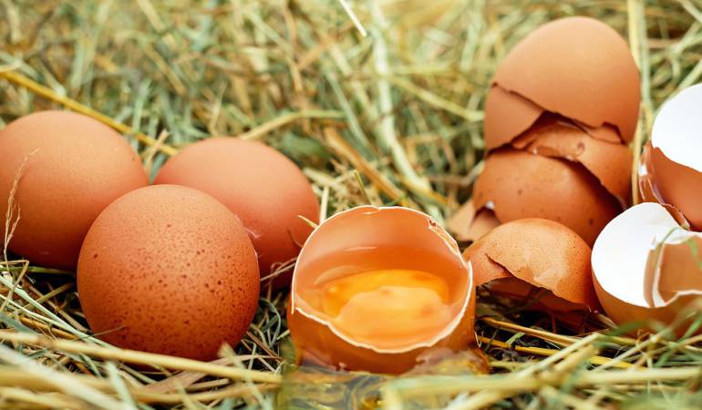 Una piel saludable a base de una alimentación adecuada: ¿Qué alimentos consumir para tener una piel envidiable?