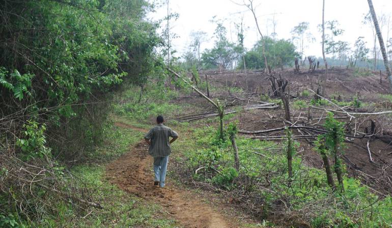 Reparación y restitución de tierras a víctimas del conflicto: Gobierno no ha cumplido metas de reparación a víctimas del conflicto armado