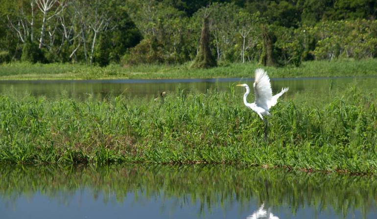 Educación ambiental Amazonas: Aula fluvial recorrerá la Amazonía para impulsar proyectos ambientales en escuelas