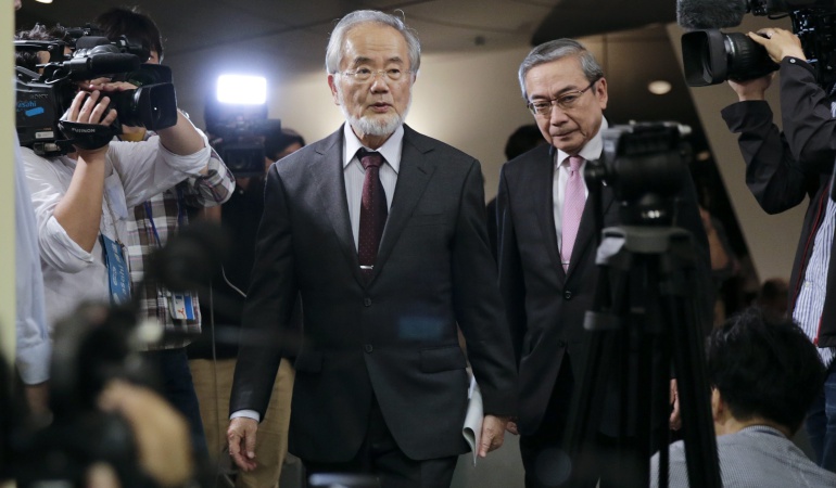 El científico japonés Yoshinori Ohsumi, premio Nobel de Medicina 2016